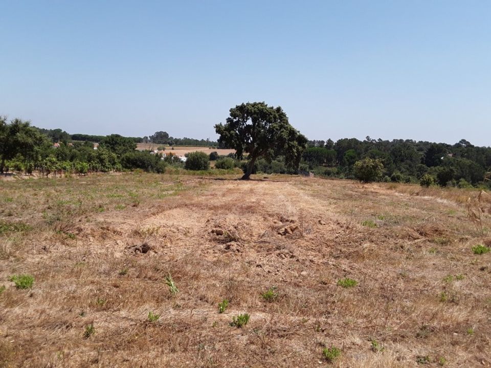 Tomt i Pontevel, Santarem - bilde 1