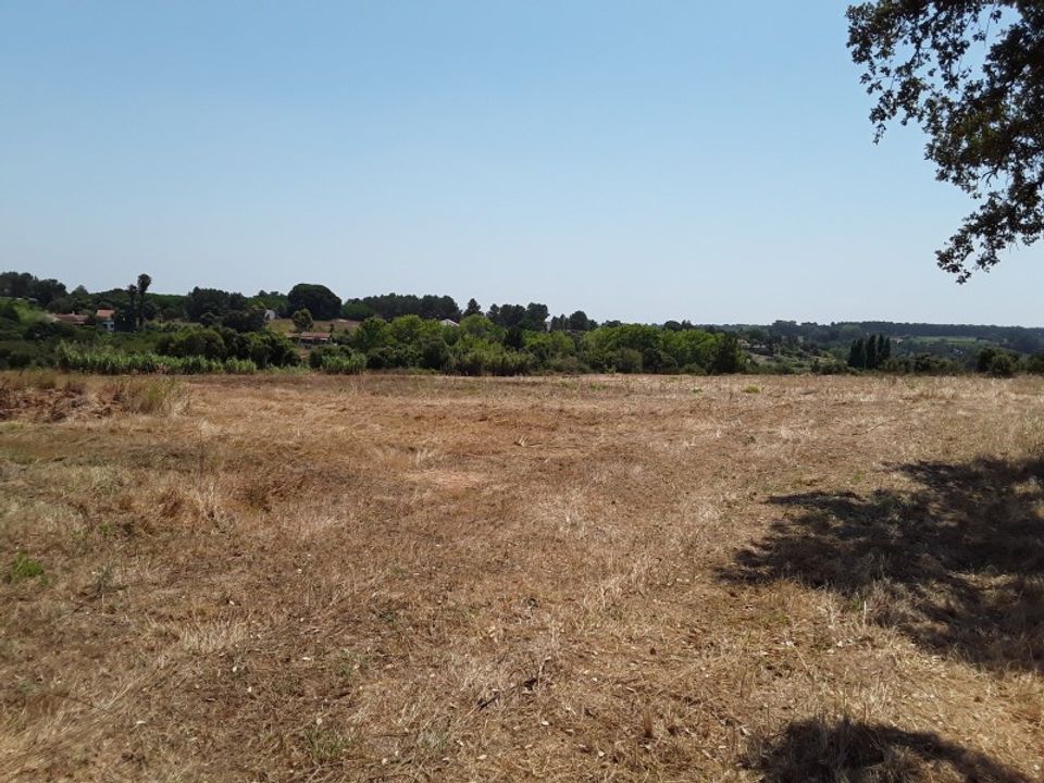 Tomt i Pontevel, Santarem - bilde 2
