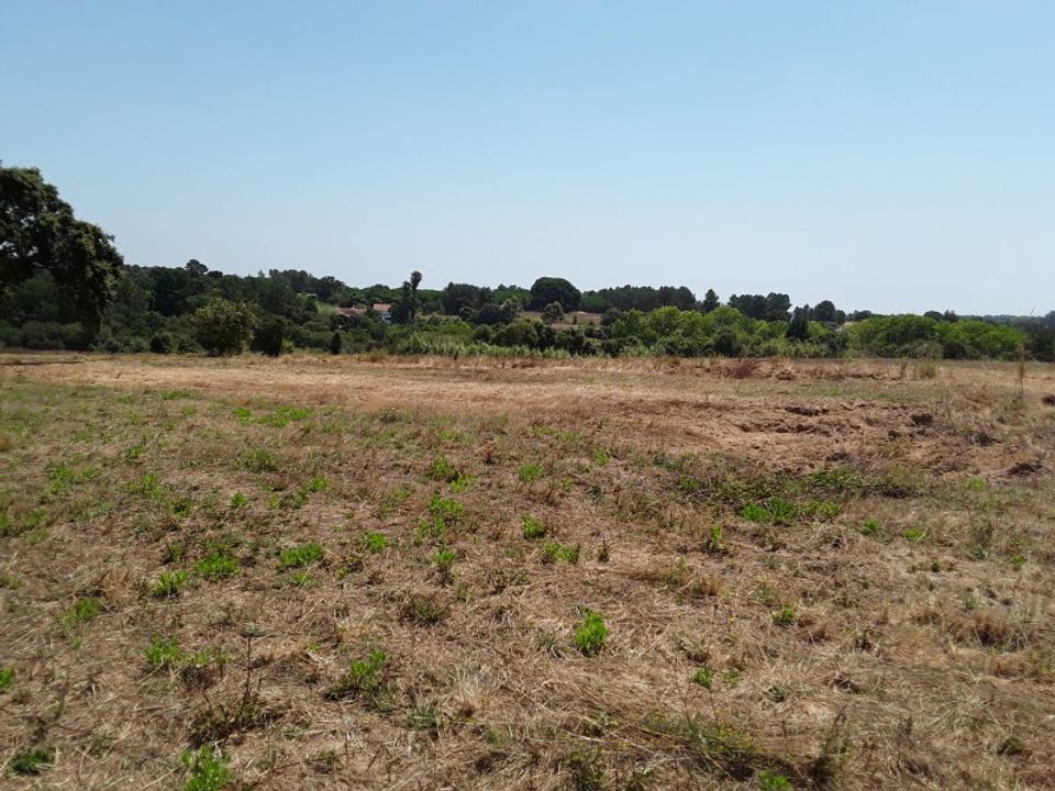 Tomt i Pontevel, Santarem - bilde 3