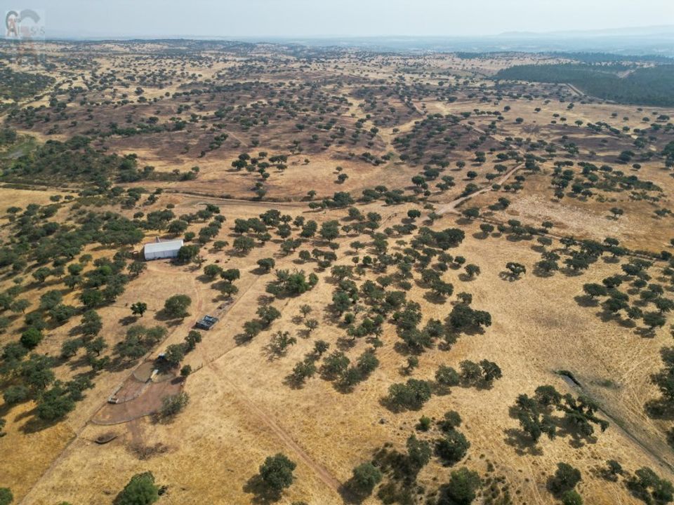 Helårsgrund i Alandroal, Evora - foto 4
