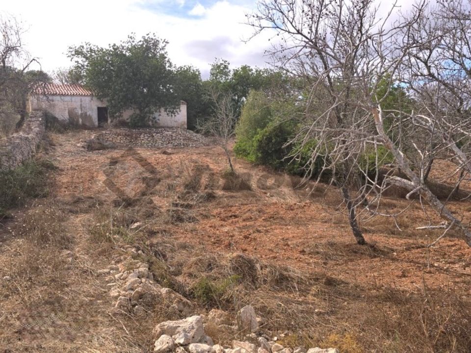 Farm i Paderne, Faro - foto 1
