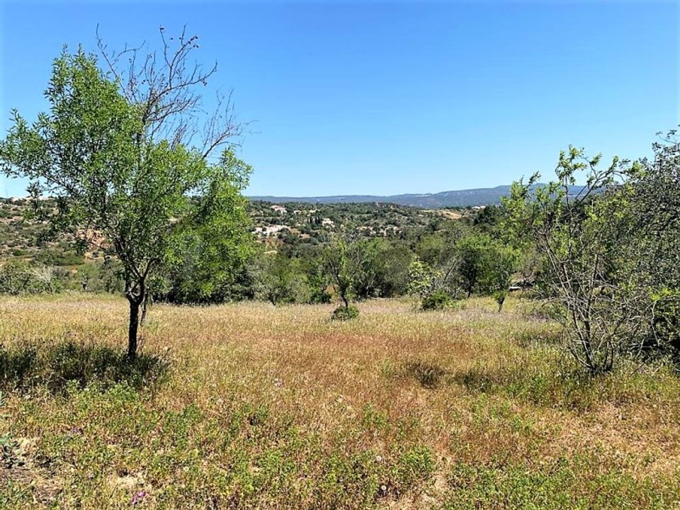 Farm i Paderne, Faro - foto 4