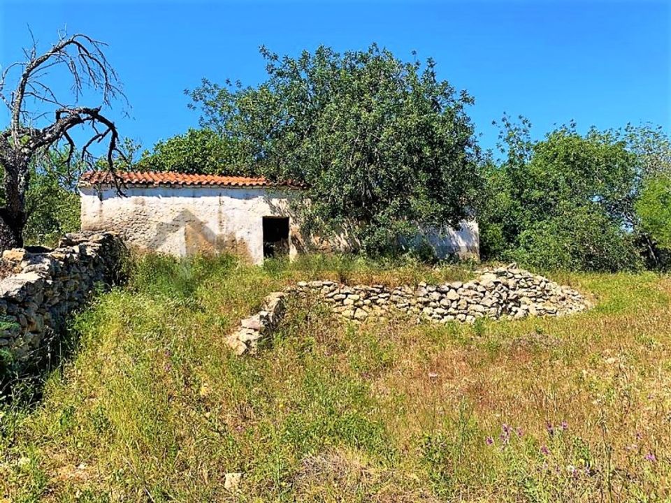Farm i Paderne, Faro - foto 5