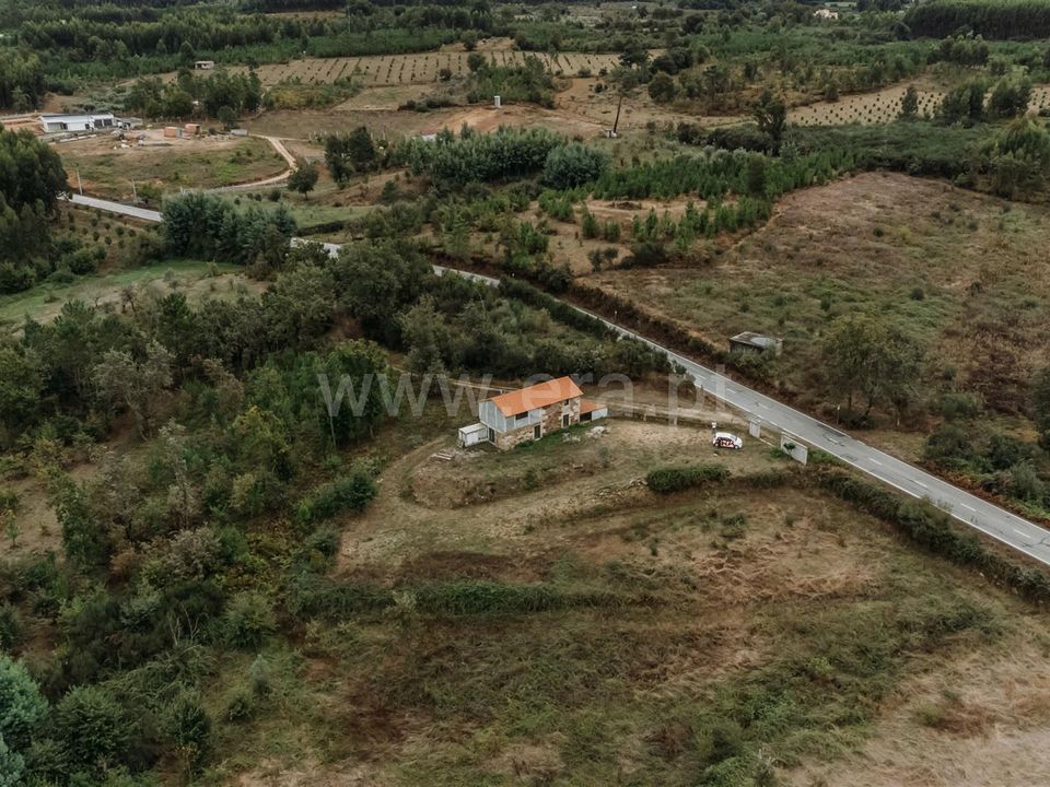 Herregård i Seia, Guarda - bilde 4
