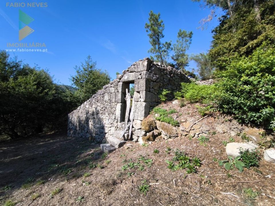 Villa i Ponte da Barca, Viana do Castelo - foto 5