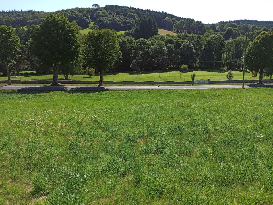 Grond in La Salvetat-sur-Agout, Herault - foto 5