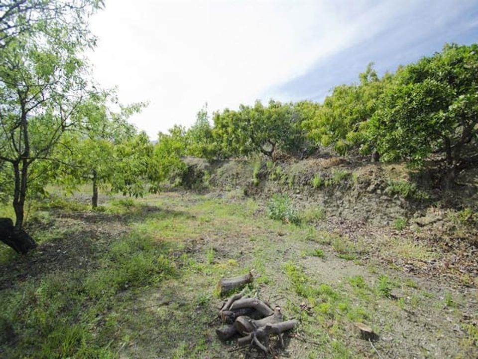 Finca i Canillas De Albaida, Malaga - foto 2