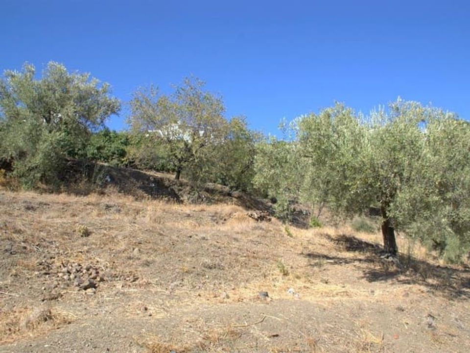 Helårsgrund i Canillas De Albaida, Malaga - foto 1
