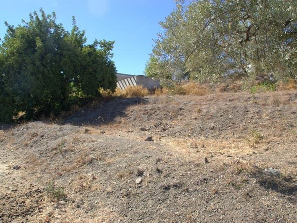 Helårsgrund i Canillas De Albaida, Malaga - foto 3