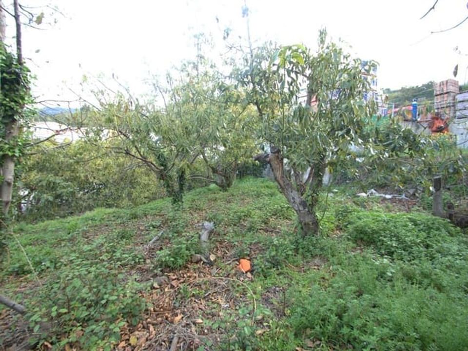 Helårsgrund i Canillas De Albaida, Malaga - foto 2