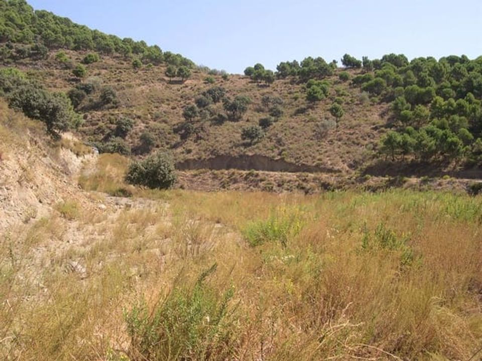 Helårsgrund i Sedella, Malaga - foto 2