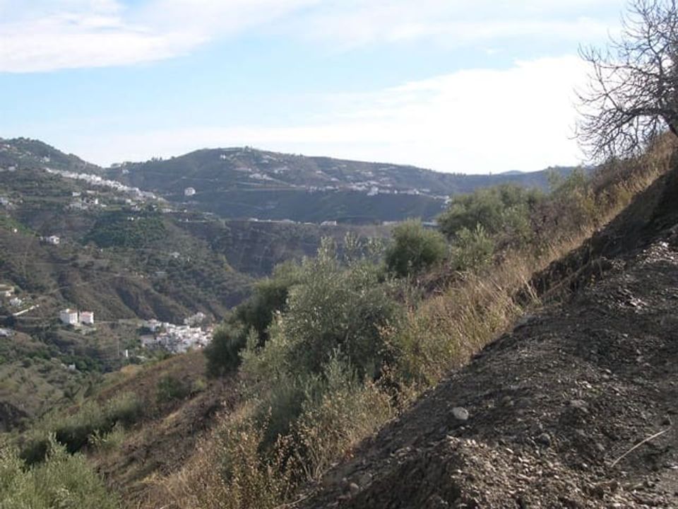Helårsgrund i Canillas De Albaida, Malaga - foto 3