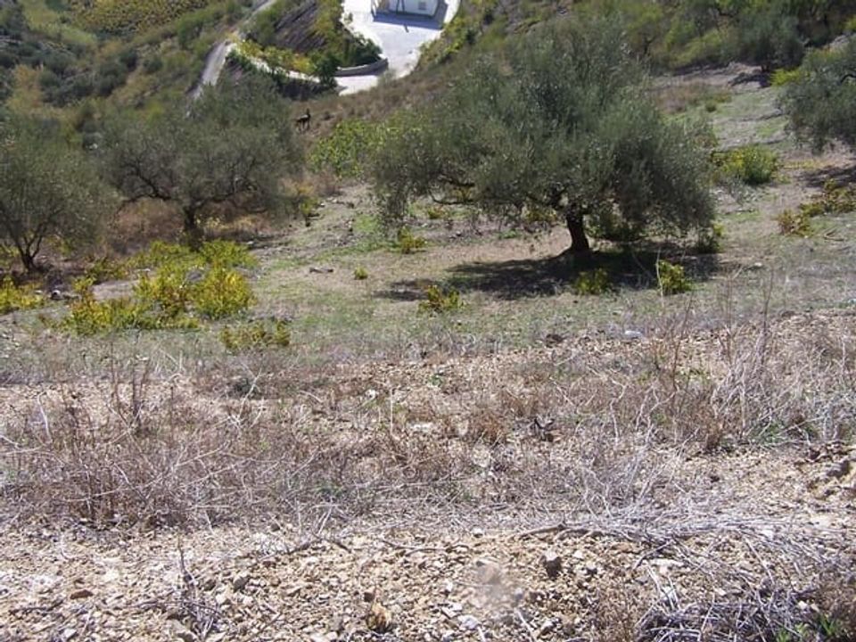 Helårsgrund i Archez, Malaga - foto 3