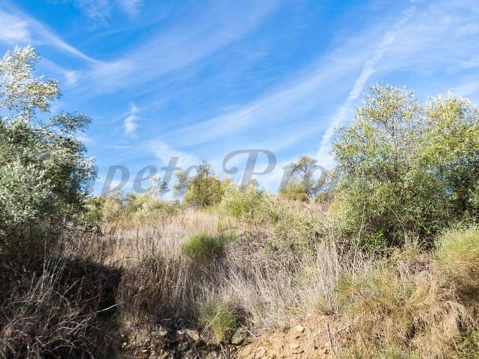 Helårsgrund i Torrox, Malaga - foto 2