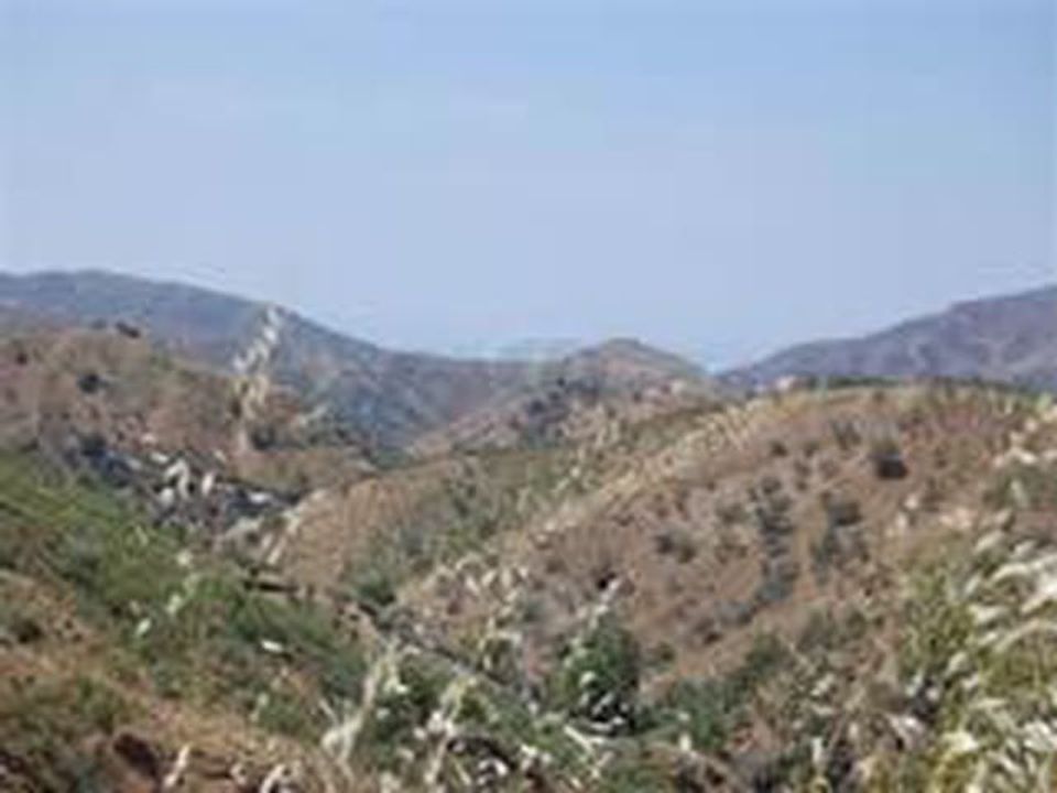 Helårsgrund i Sedella, Malaga - foto 2