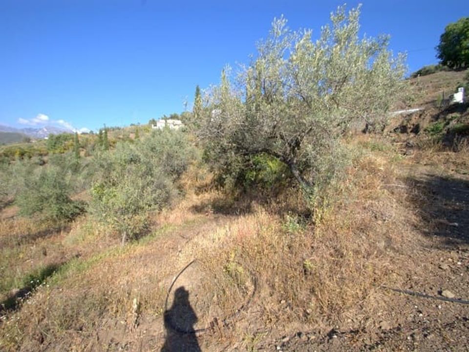 Helårsgrund i Competa, Malaga - foto 1