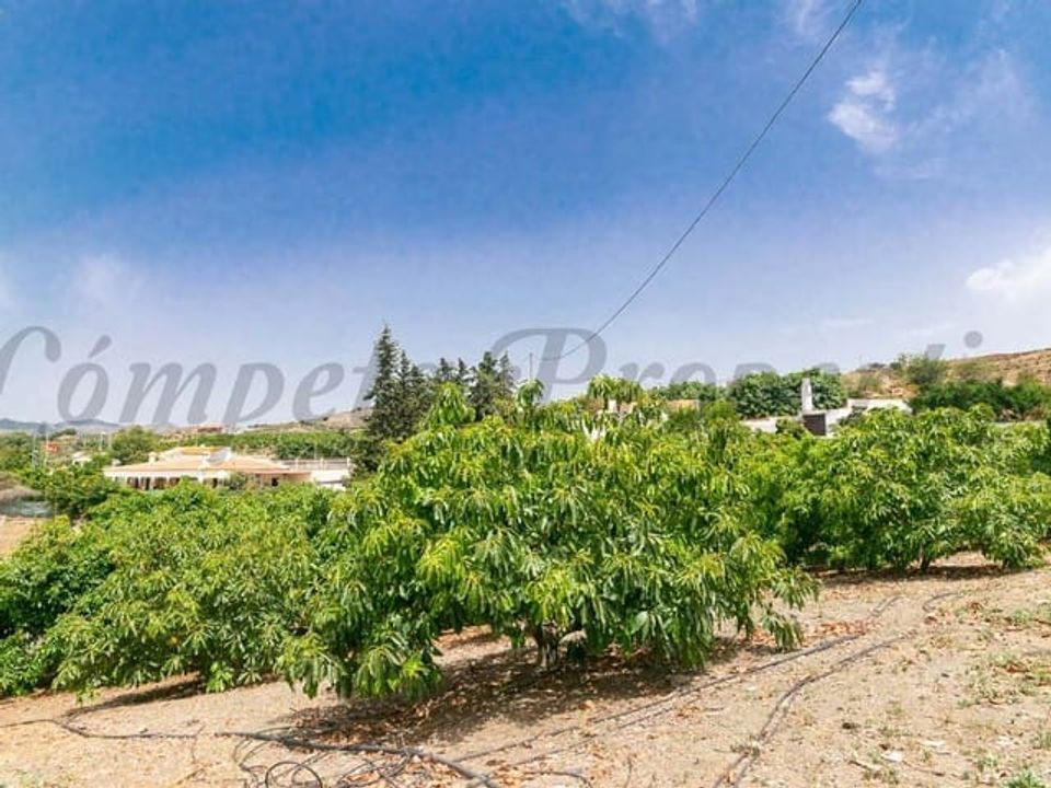 Finca i Almayate Alto, Malaga - foto 1