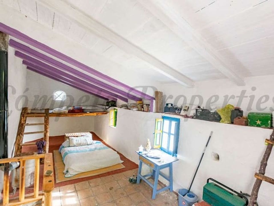 Finca i Canillas De Albaida, Malaga - foto 4