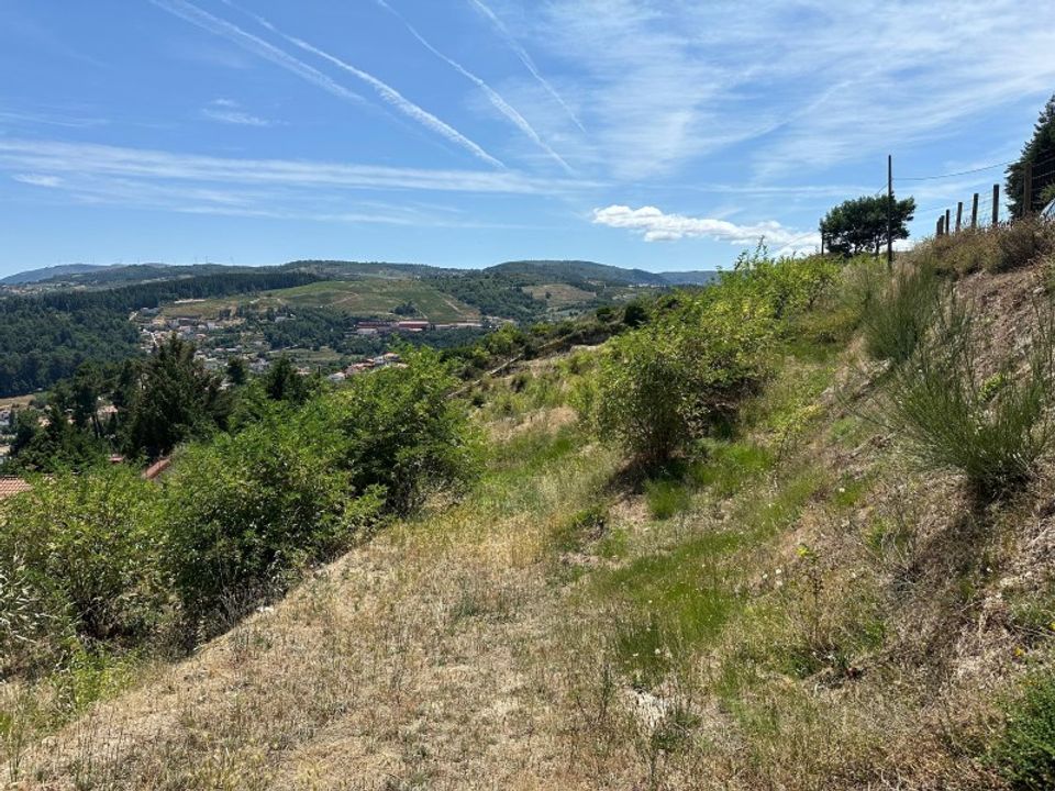 Helårsgrund i Lamego, Viseu - foto 4
