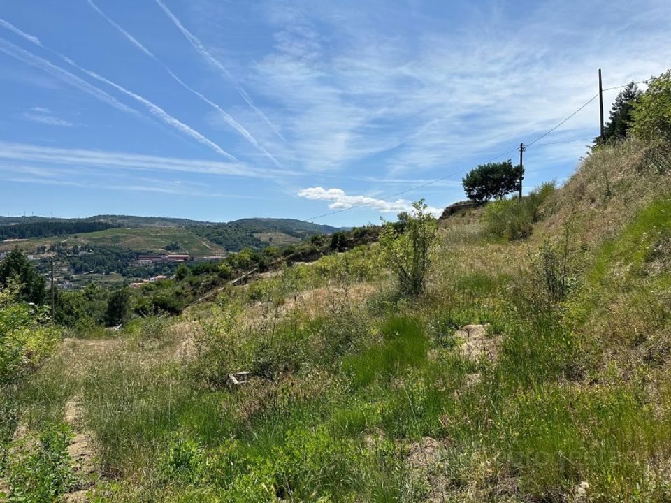 Helårsgrund i Lamego, Viseu - foto 5