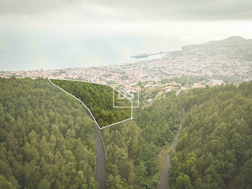 Helårsgrund i Funchal, Madeira - foto 1