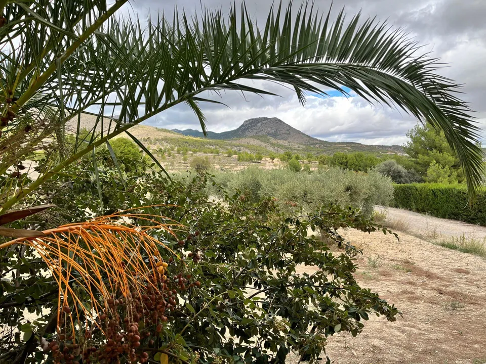 Landejendom i Caravaca De La Cruz, Murcia - foto 1