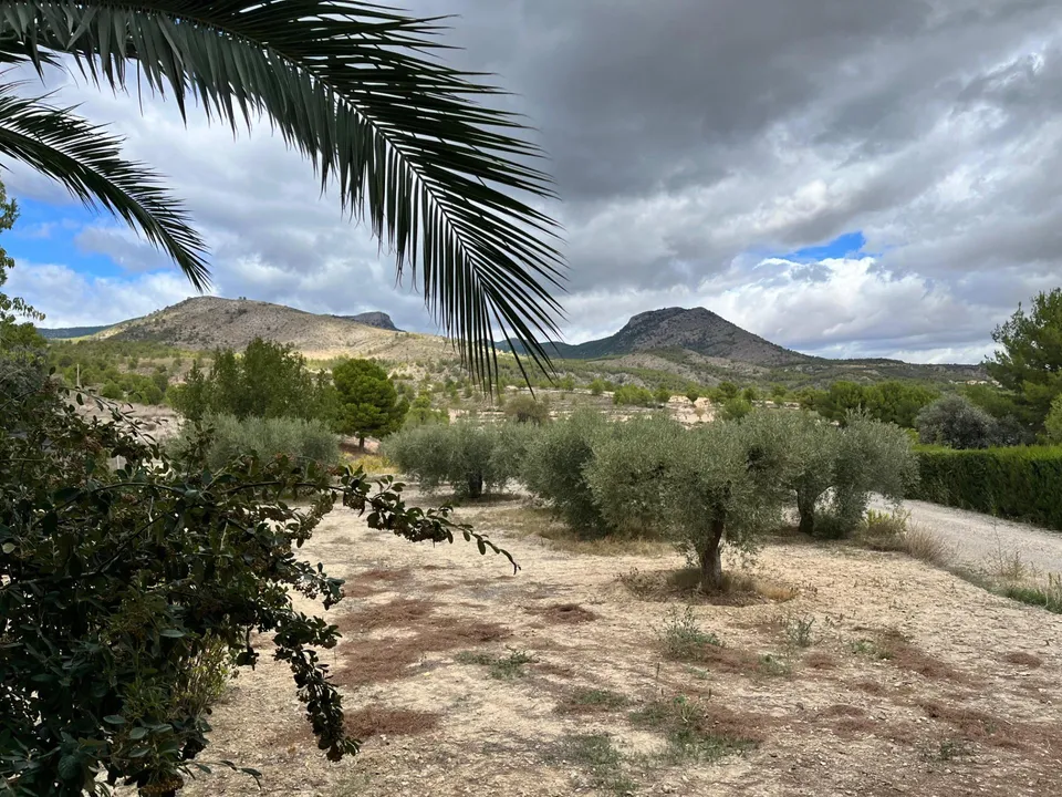 Landejendom i Caravaca De La Cruz, Murcia - foto 3