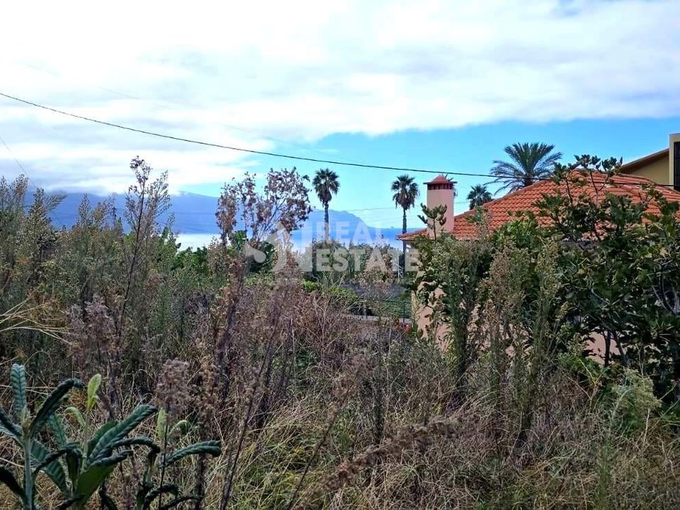 Helårsgrund i Ponta Delgada, Madeira - foto 3