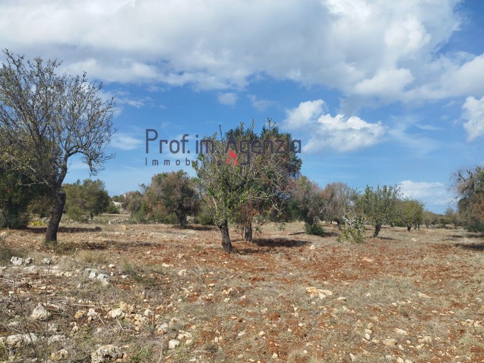 Helårsgrund i Carovigno, Brindisi - foto 5