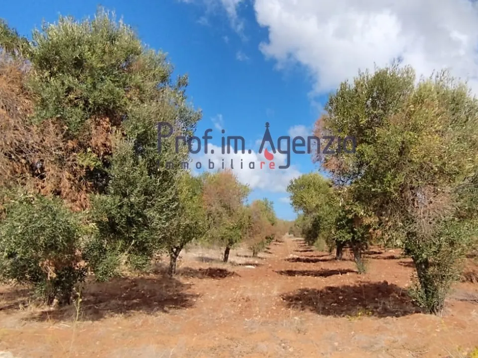 Helårsgrund i Carovigno, Brindisi - foto 1