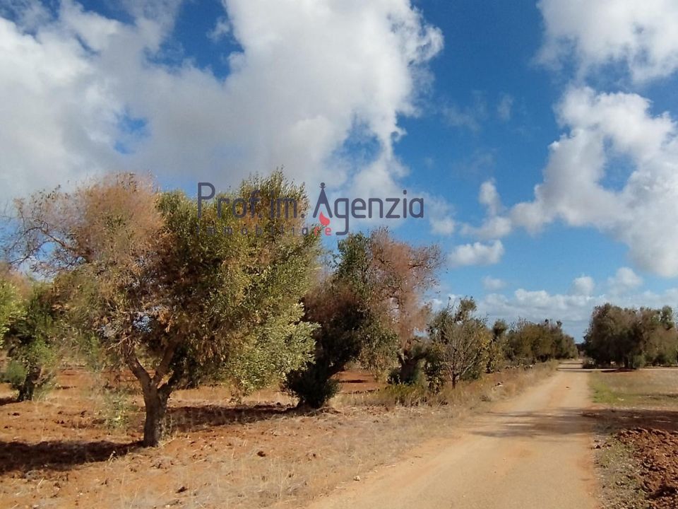 Helårsgrund i Carovigno, Brindisi - foto 3