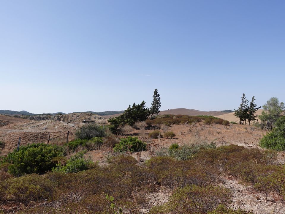 Finca i Medina Sidonia, Cadiz - foto 1