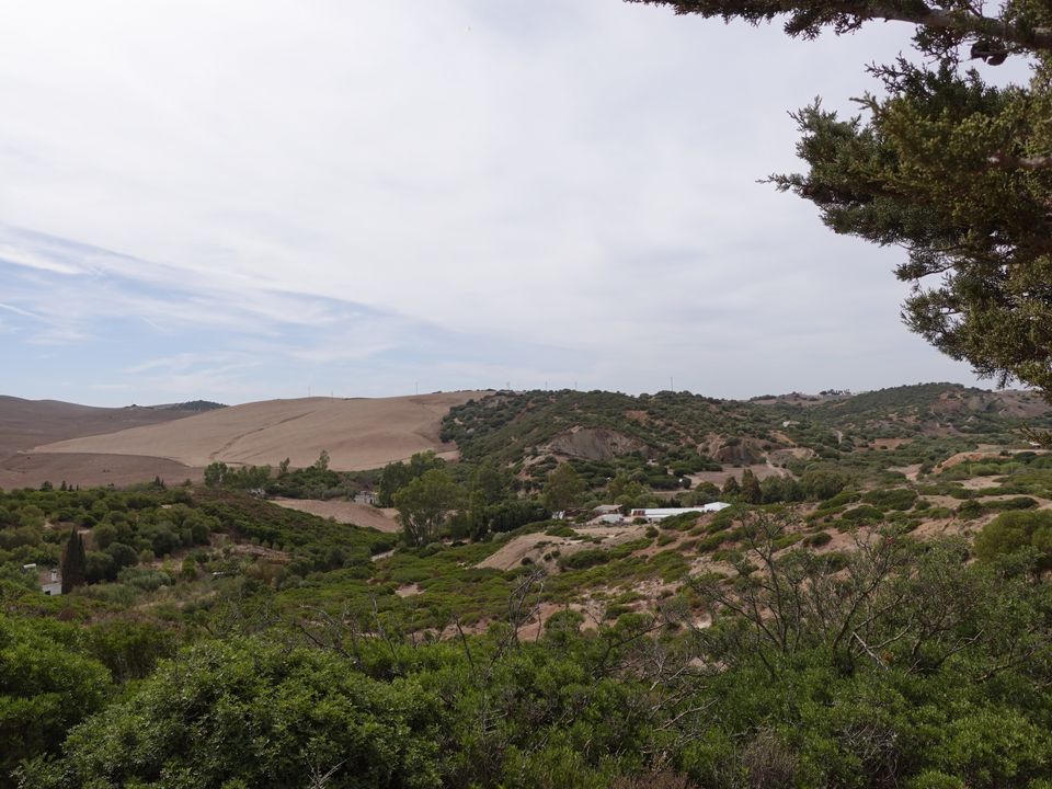 Finca i Medina Sidonia, Cadiz - foto 5
