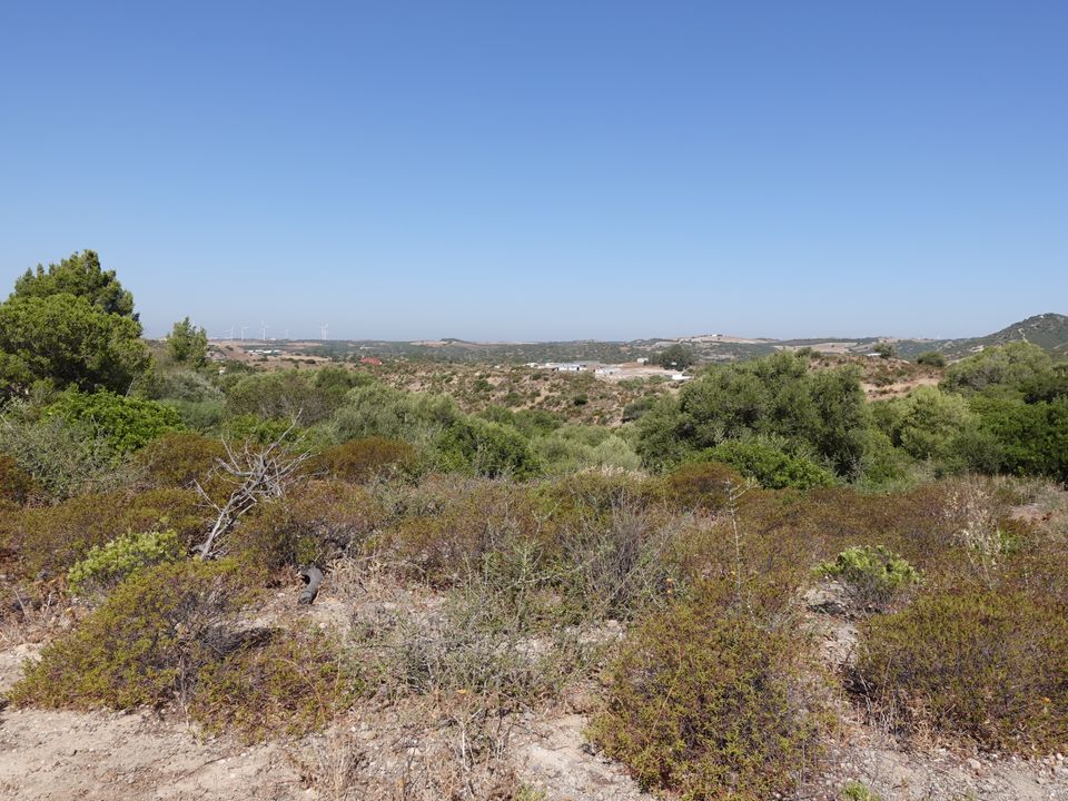 Finca i Medina Sidonia, Cadiz - foto 2