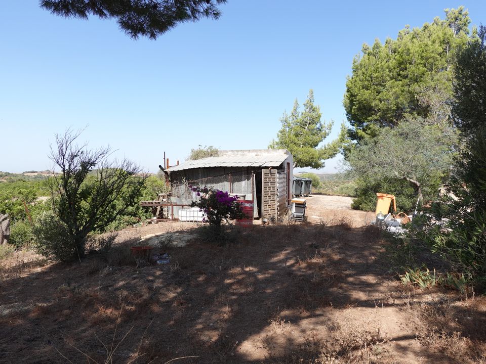 Finca i Medina Sidonia, Cadiz - foto 3
