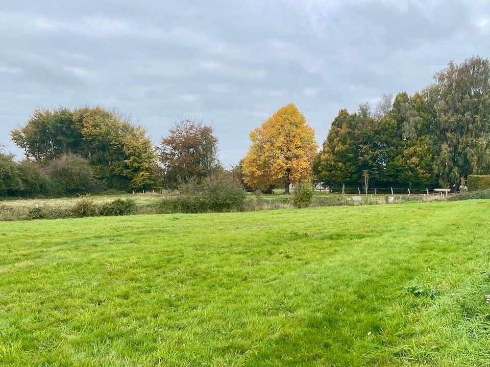 Land in Beuzeville, Eure - photo 4