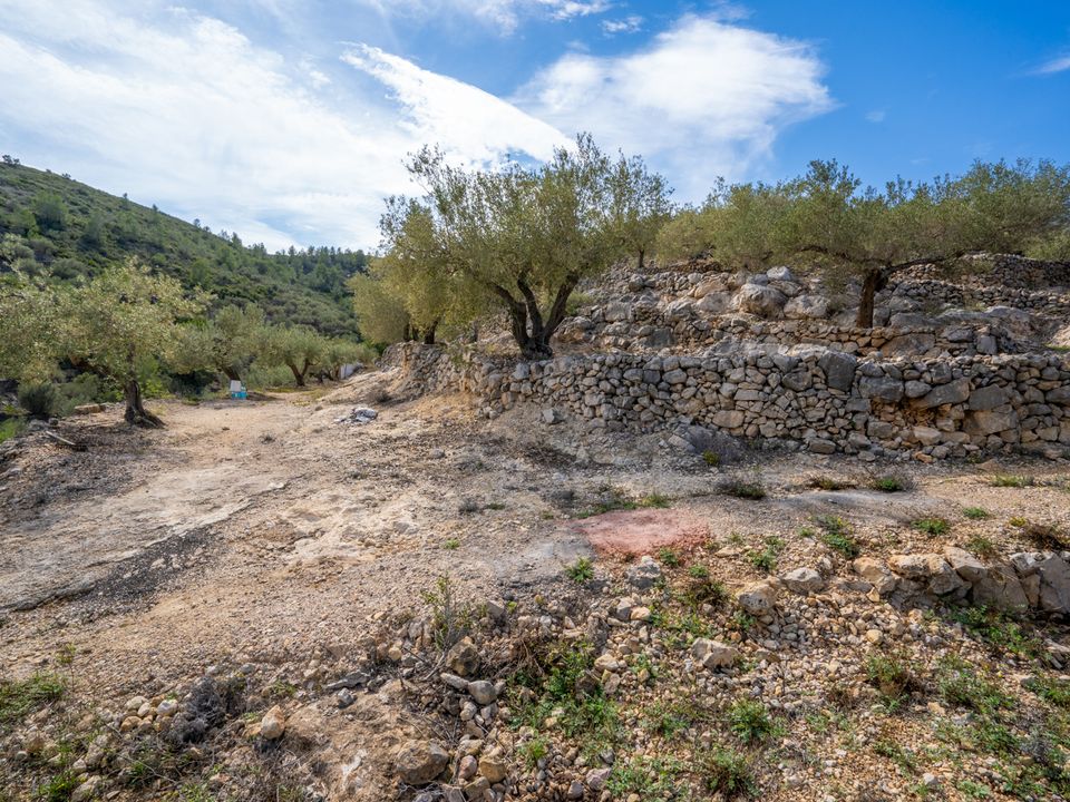 Finca i Tortosa, Tarragona - foto 5