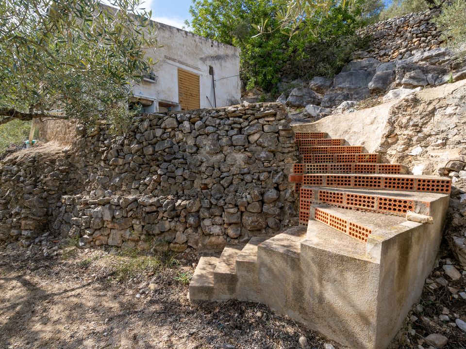 Finca i Tortosa, Tarragona - foto 3