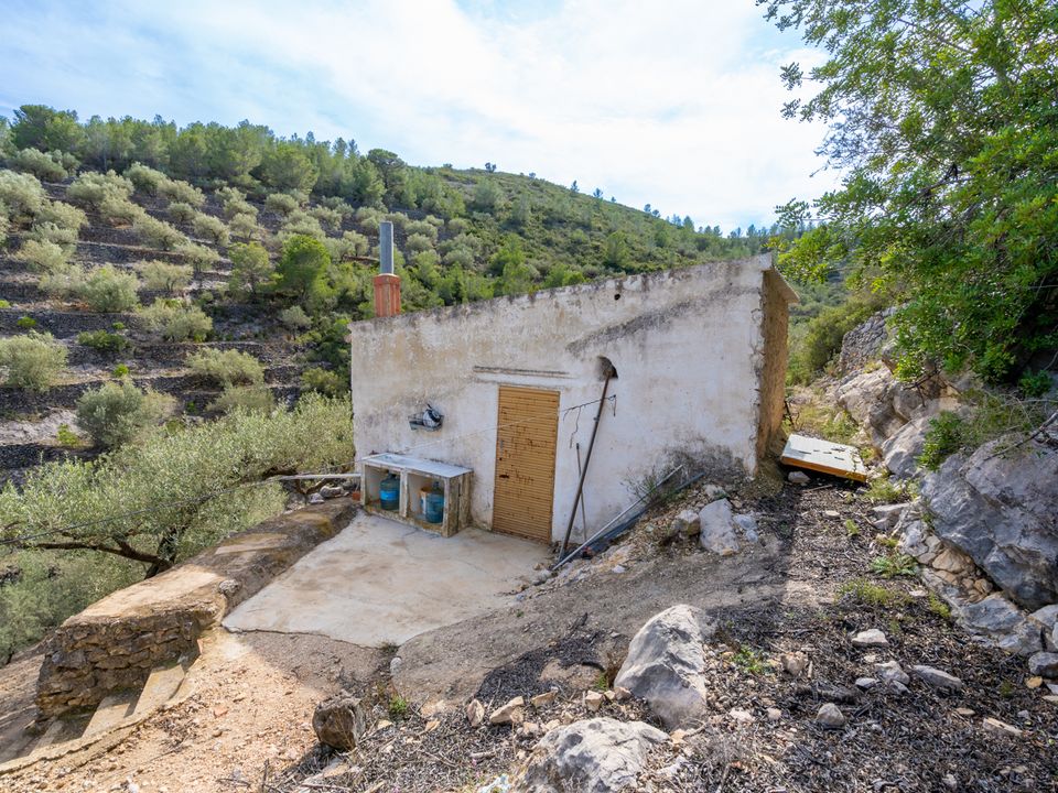 Finca i Tortosa, Tarragona - foto 2
