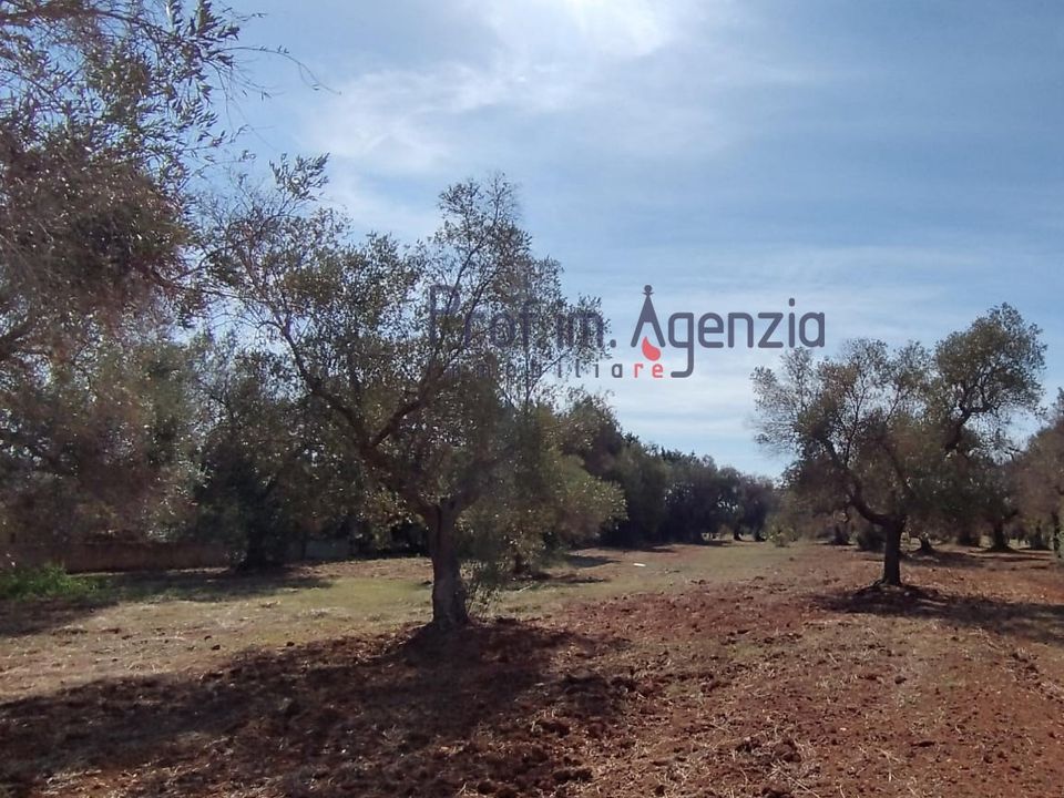 Helårsgrund i San Vito dei Normanni, Brindisi - foto 1