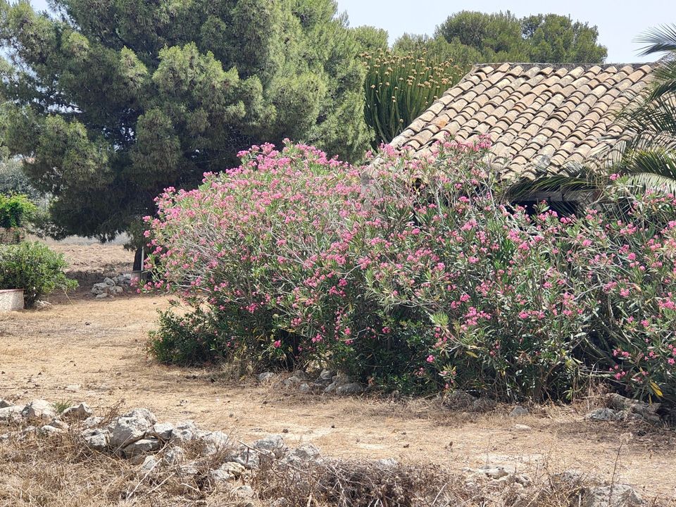 Villa a Siracusa, Siracusa - foto 5