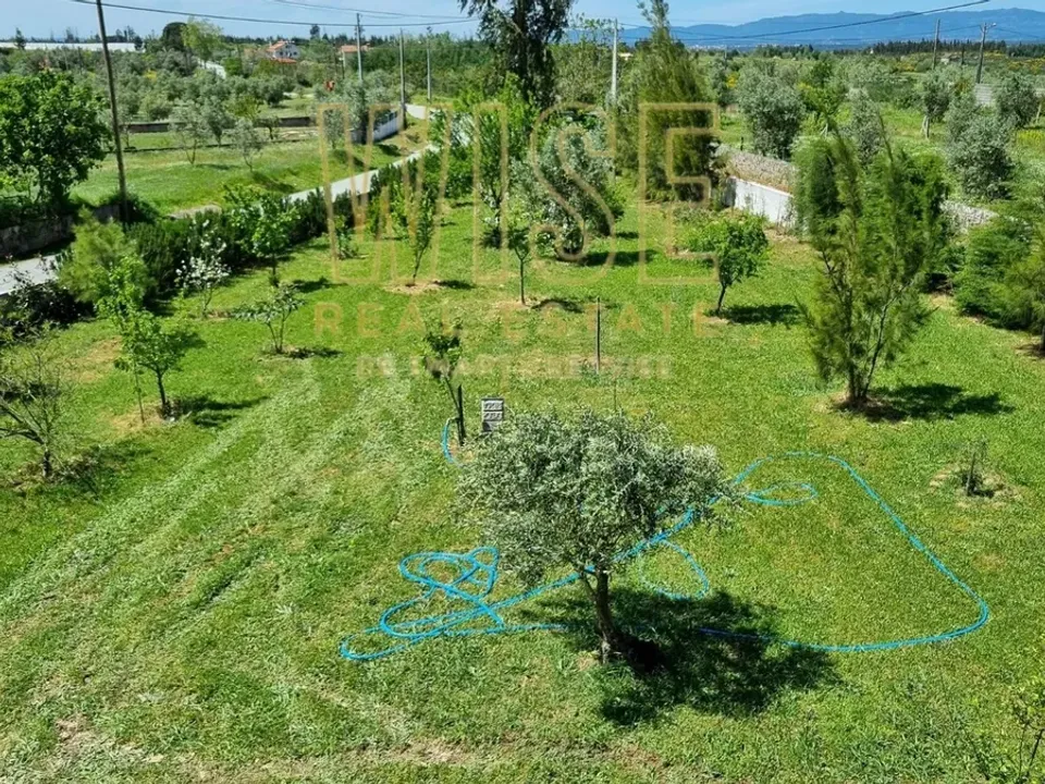Villa i Oliveira do Hospital, Coimbra - foto 5