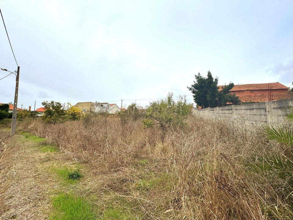 Helårsgrund i Alcobaca, Leiria - foto 3