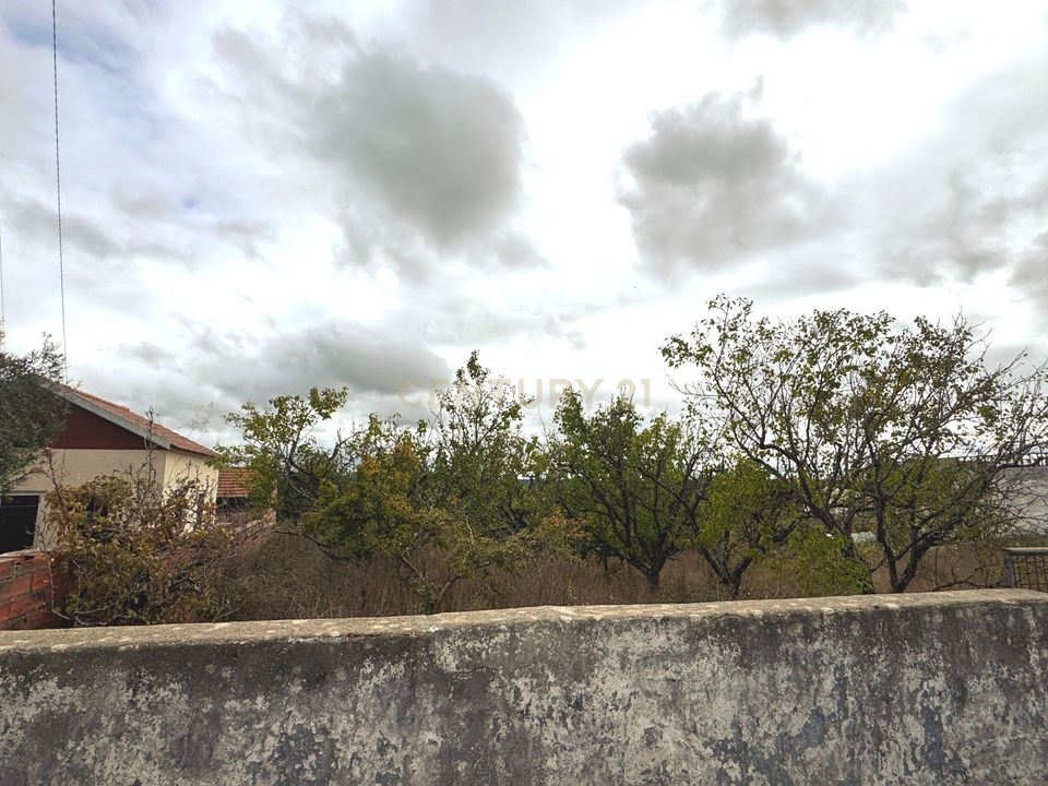 Helårsgrund i Alcobaca, Leiria - foto 5