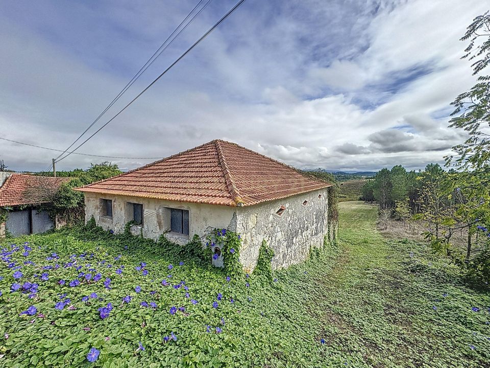 Helårsgrund i Alcobaca, Leiria - foto 1