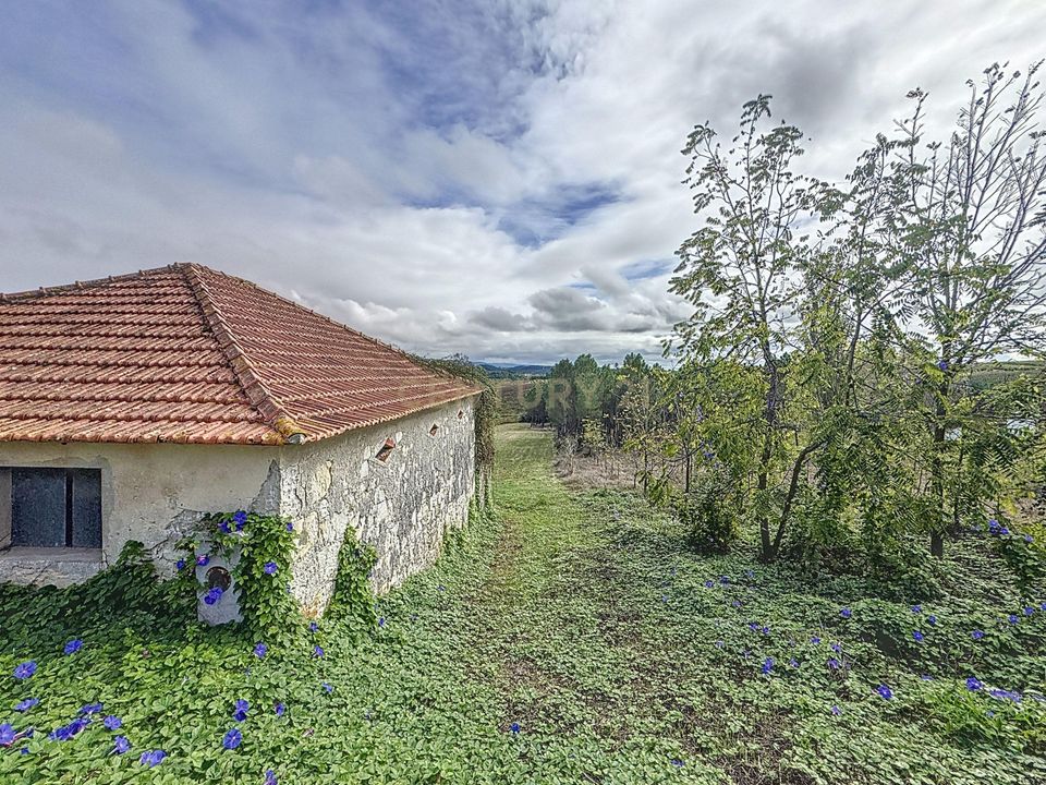 Helårsgrund i Alcobaca, Leiria - foto 2