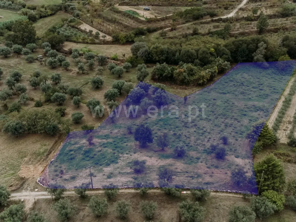 Helårsgrund i Covilha, Castelo Branco - foto 1