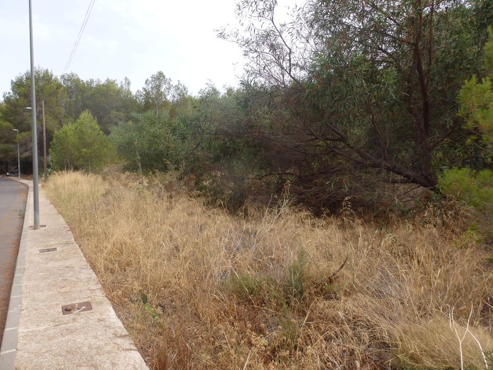 Terra a Altea, Alicante - foto 3