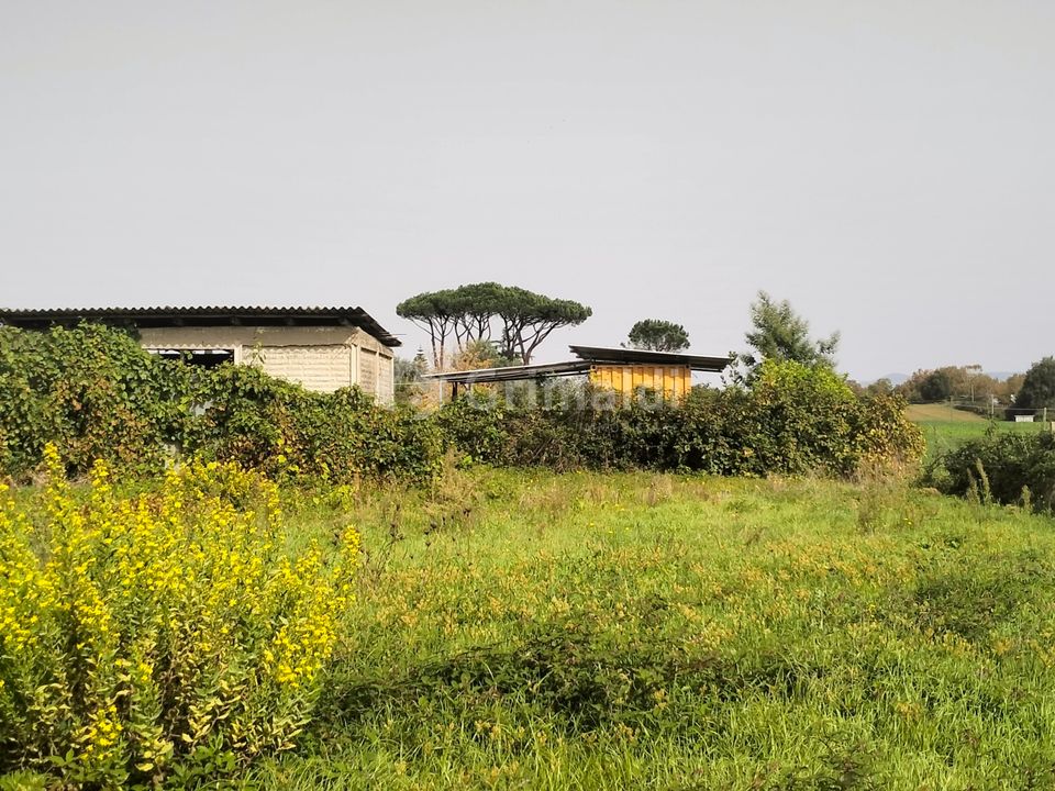 Erhvervsejendom i Nettuno, Rome - foto 4