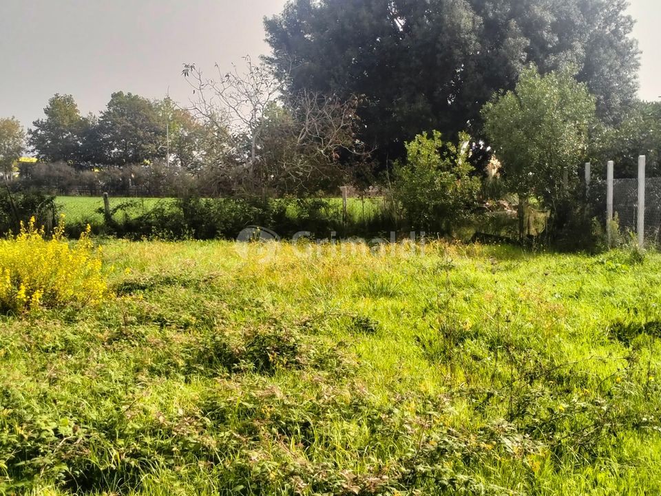 Erhvervsejendom i Nettuno, Rome - foto 5